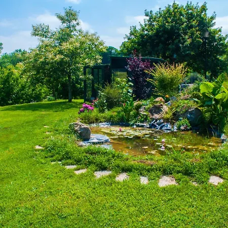 ホテル クエリ Viveda